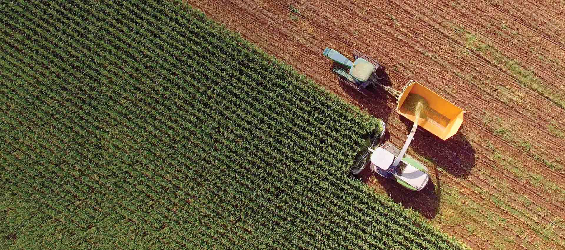  Enterprise AI for Demand Forecasting and Production Scheduling in Global Agribusiness - IoT ONE Case Study