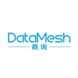 DataMesh Logo