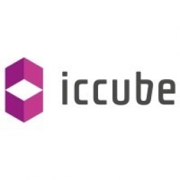 IcCube Logo
