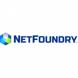 NetFoundry (Tata Communications) Logo
